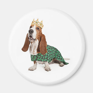 Irische Prinzessin Basset Magnet