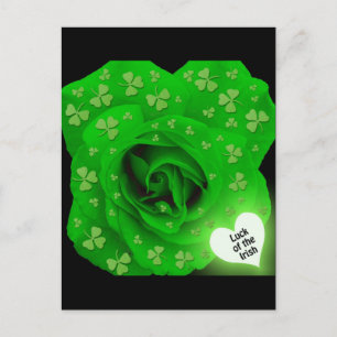 Irische Rose - Glück der Iren Postkarte
