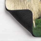 Irische Schafe Mousepad (Ecke)
