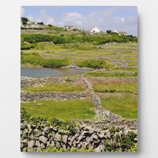 Irische Steinmauern Fotoplatte (Vorderseite)