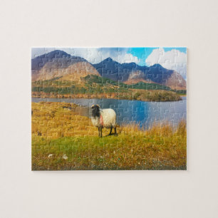 Irische Wollschafe Galway Irland. Puzzle