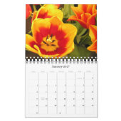 Irischer Kalender des Tulpe-Festival-2010 (Jan 2027)