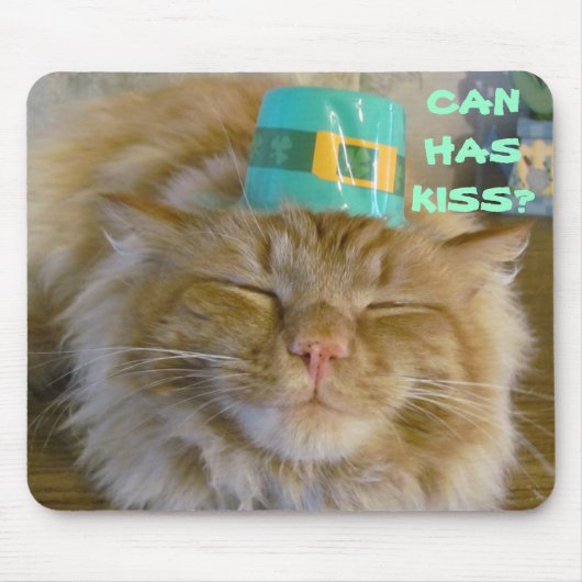 Irischer Kitty will Kuss Mousepad (Vorne)