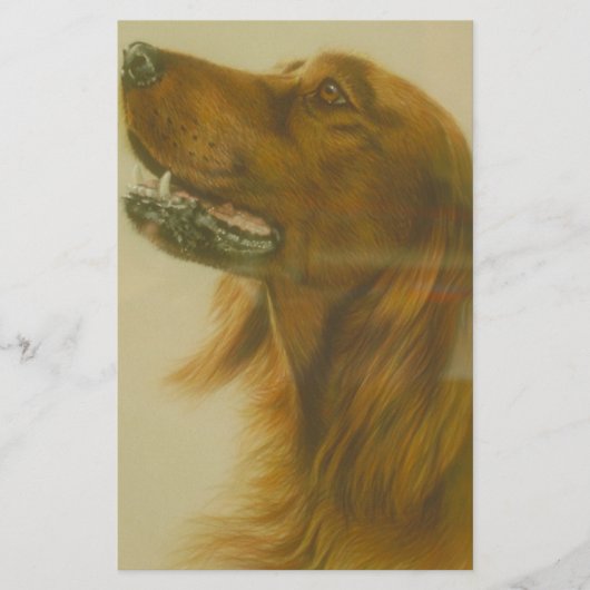 Irischer roter Setzer-Hund Briefpapier (Vorderseite)