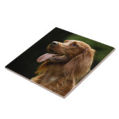 Irischer Setter 2 Fliese (Seite)