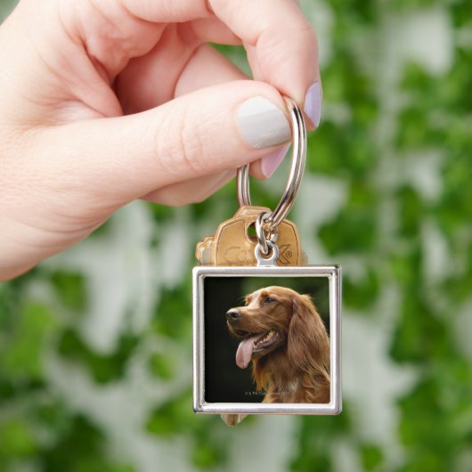 Irischer Setter 2 Schlüsselanhänger (Hand)