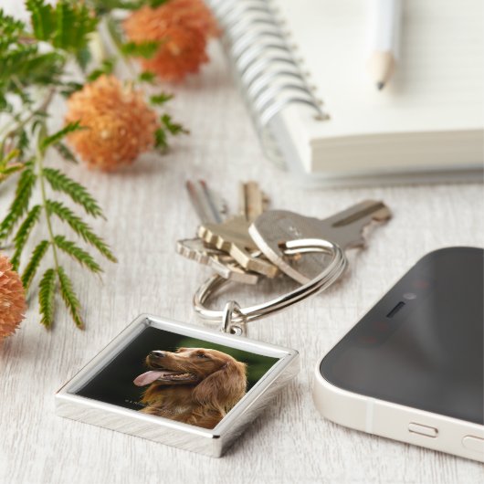 Irischer Setter 2 Schlüsselanhänger (Seite)