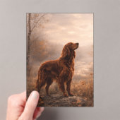 Irischer Setter Acryleinladungen (Insitu (Handheld))
