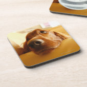 Irischer Setter auf Sofa Getränkeuntersetzer (Linke Seite)