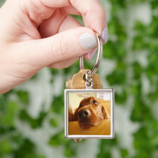 Irischer Setter auf Sofa Schlüsselanhänger (Hand)