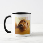 Irischer Setter auf Sofa Tasse (Links)