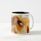 Irischer Setter auf Sofa Zweifarbige Tasse (VorderseiteRechts)