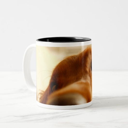 Irischer Setter auf Sofa Zweifarbige Tasse (Vorderseite Links)