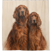 Irischer Setter Duschvorhang (Vorderseite)