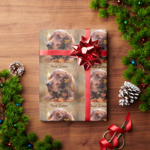 Irischer Setter Geschenkpapier
