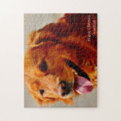 Irischer Setter Hund. Puzzle (Vertikal)
