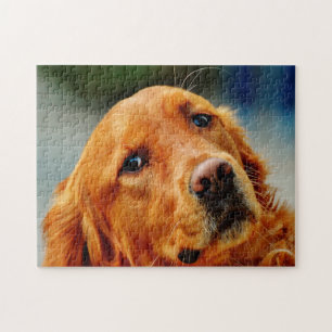 Irischer Setter Hund. Puzzle