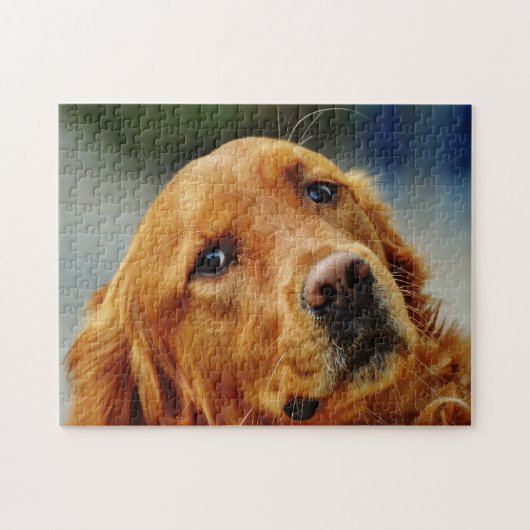 Irischer Setter Hund. Puzzle (Horizontal)