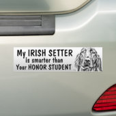 Irischer Setter - intelligenter als Ehrenstudent - Autoaufkleber (Auf Auto)