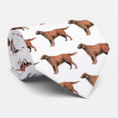 Irischer Setter Krawatte (Gerollt)