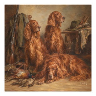 Irischer Setter ,Kunst Fotodruck