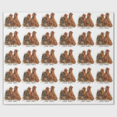 Irischer Setter ,Kunst Geschenkpapier (Flach)