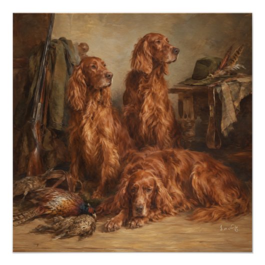 Irischer Setter ,Kunst Poster (Vorderseite)