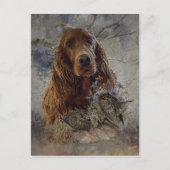 irischer Setter mit Holzhaken Postkarte (Vorderseite)