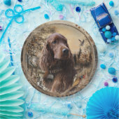 Irischer Setter Pappteller (Party)