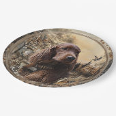 Irischer Setter Pappteller (Schrägansicht)