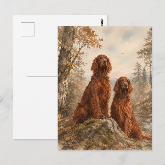  Irischer Setter  Postkarte (Vorne/Hinten)