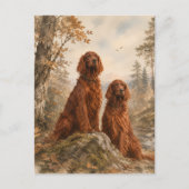  Irischer Setter  Postkarte (Vorderseite)
