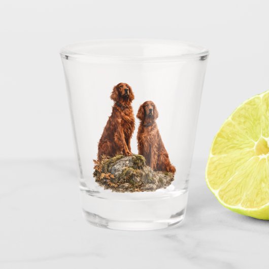 Irischer Setter Schnapsglas (Vorderseite)