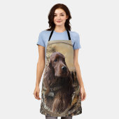 Irischer Setter Schürze (Getragen)