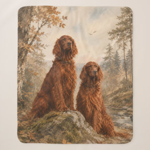  Irischer Setter  Sherpadecke