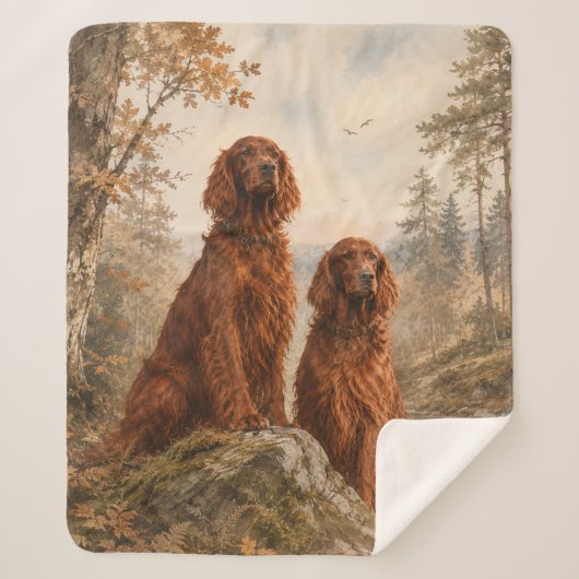 Irischer Setter Sherpadecke (Vorderseite)