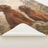 Irischer Setter Sherpadecke (3/4)