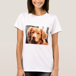 Irischer Setter T-Shirt