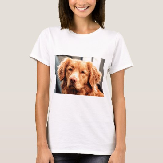 Irischer Setter T-Shirt (Vorderseite)