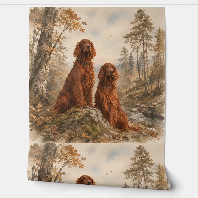  Irischer Setter  Tapete (Abrollen)