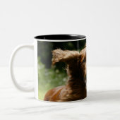 Irischer Setter Zweifarbige Tasse (Links)