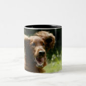 Irischer Setter Zweifarbige Tasse (Mittel)