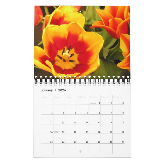 Irischer Tulpe-Festival-Kalender Kalender (Jan 2026)