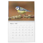 Irischer Vogelkalender Kalender (Feb 2027)
