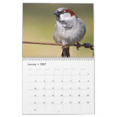 Irischer Vogelkalender Kalender (Jan 2027)