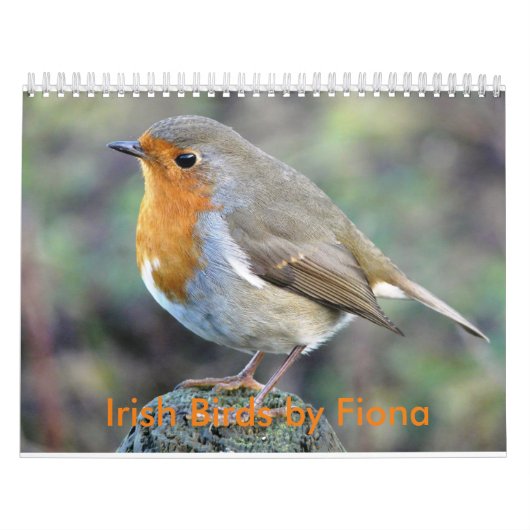 Irischer Vogelkalender Kalender (Titelbild)