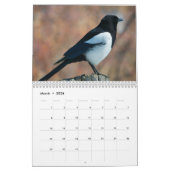Irischer Vogelkalender Kalender (Mär 2026)