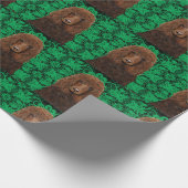 Irischer Wasserspaniel Geschenkpapier (Ecke)
