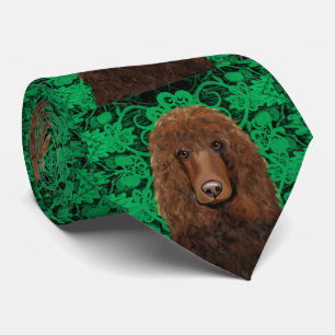 Irischer Wasserspaniel Krawatte