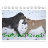 Irischer Wolfhound 2012 Kalender (Titelbild)